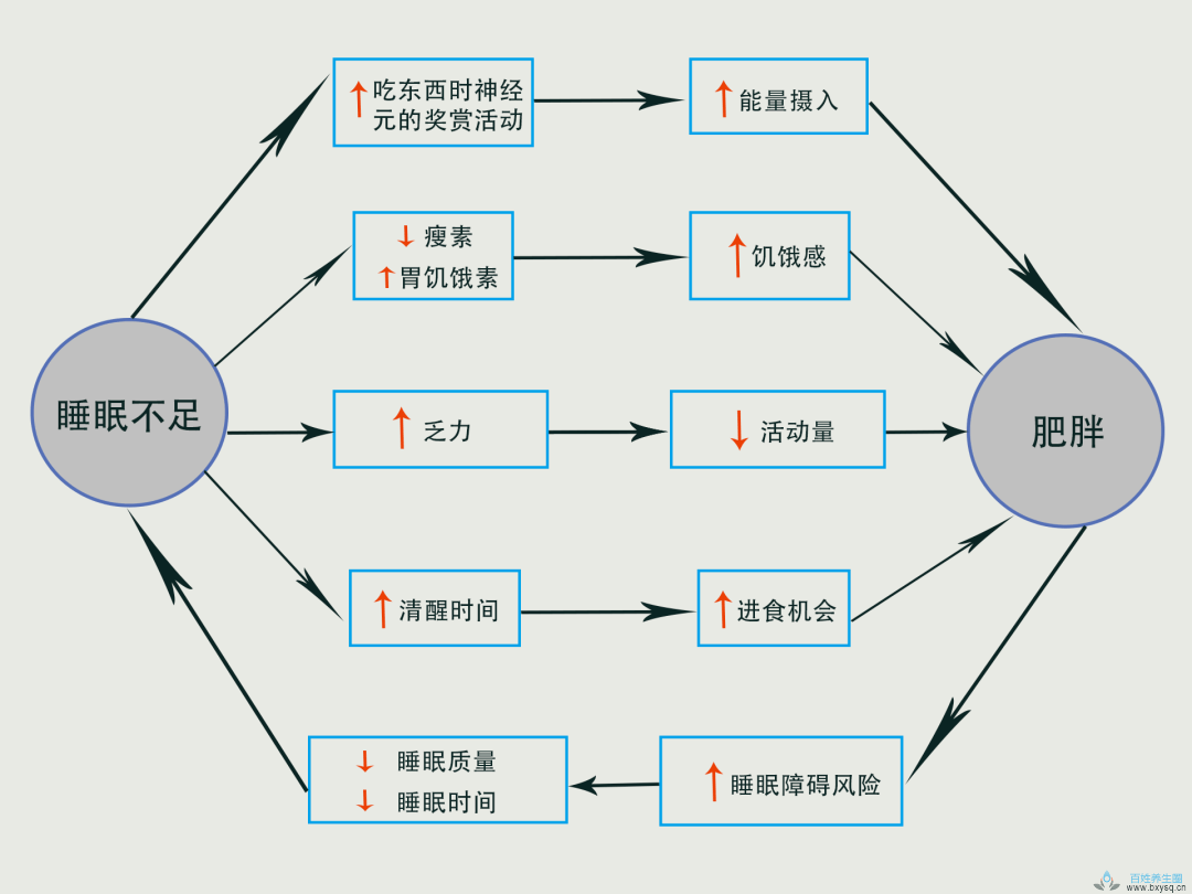 经常熬夜容易缺啥营养？熬夜需要补充什么营养 ?这份“科学熬夜指南”请收好！