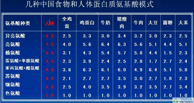 哪些食物中的蛋白质对身体比较好，限制氨基酸是什么意思